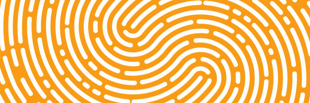 fingerprint background, maze, white print fingerprint background, maze, white print, wide banner police. Vector illustration maze backgrounds stock illustrations