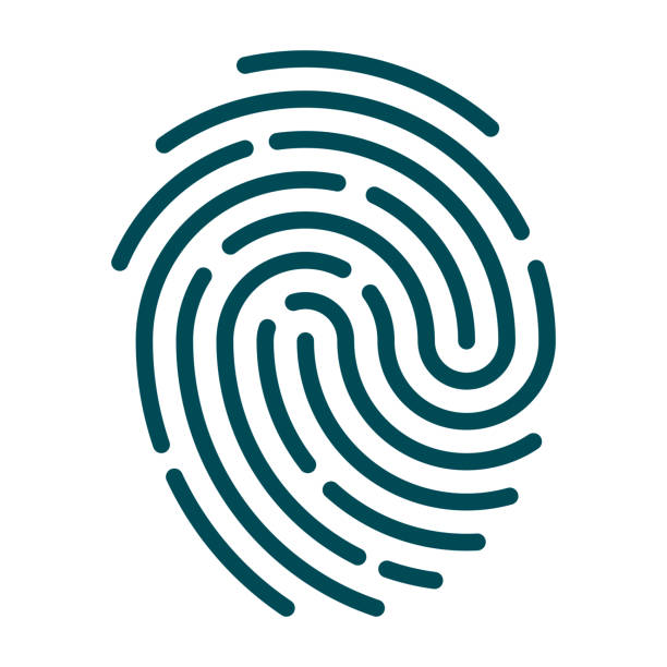 Fingerprint Icon on Transparent Background A flat design icon on a transparent background (can be placed onto any colored background). File is built in the CMYK color space for optimal printing. Color swatches are global so it’s easy to change colors across the document. No transparencies, blends or gradients used. fingerprint stock illustrations