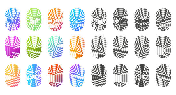 Fingerprint icons, finger prints in color pattern Fingerprint icons, finger prints in black and color gradient pattern, vector logo templates. Abstract fingerprint signs, ID biometric identity, digital scan or security access and pass lock technology fingerprint stock illustrations