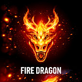 Fire Dragon Head in Flame on the Dark Background. Head of Dragon with Open Jaws. Image for Print on Clothing, Stickers. Illustration for Wrapping Drift Car Hood