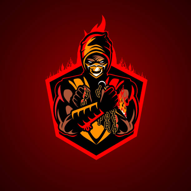 Fire Ninja vector illustration insignia vector art illustration