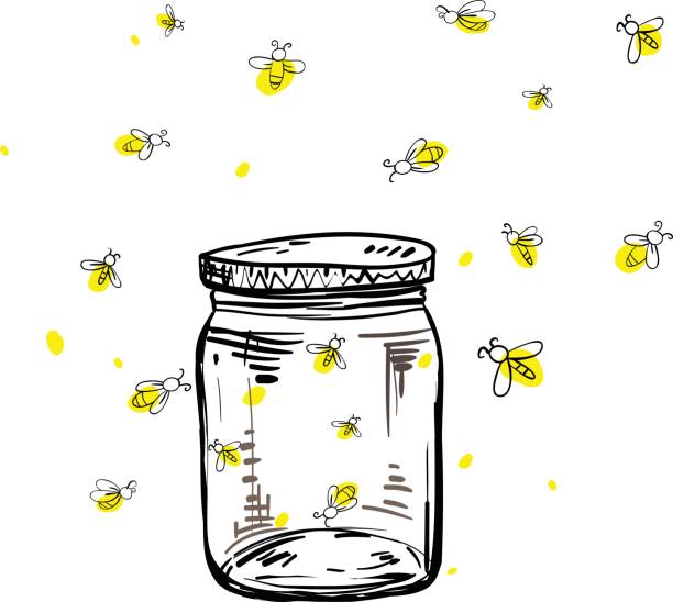 fireflies flying around the jar vector art illustration
