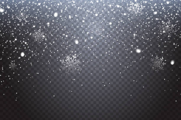 stockillustraties, clipart, cartoons en iconen met eerste sneeuw. realistisch vallende sneeuwvlokken geïsoleerd op transparante achtergrond. winter decoratie-element voor uw kerst-ontwerp. vectorillustratie. - lichte sneeuw