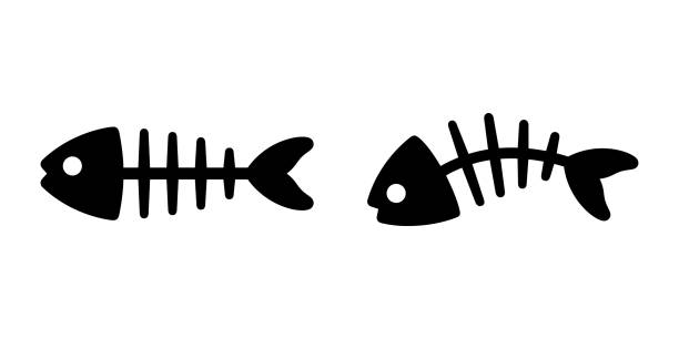 fish bone vector salmon icon tuna cartoon symbol doodle illustration design fish bone vector salmon icon tuna cartoon symbol doodle illustration design animal bone stock illustrations
