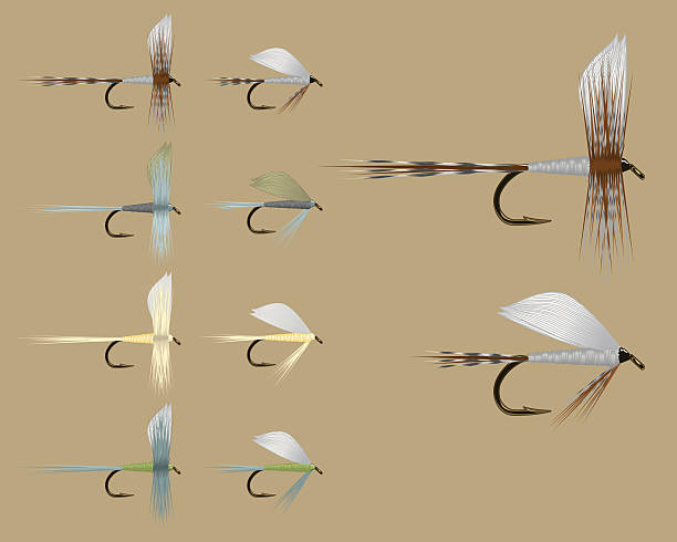 Fish Fly Assortment - Set One vector art illustration
