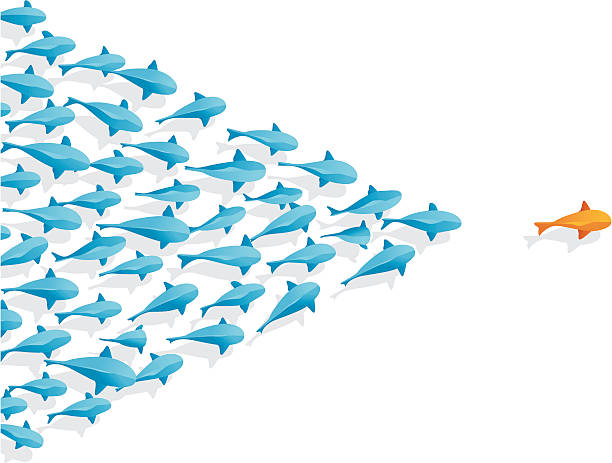 Fish | Follow the Leader Many blue fishes follow the leader goldfish school of fish stock illustrations