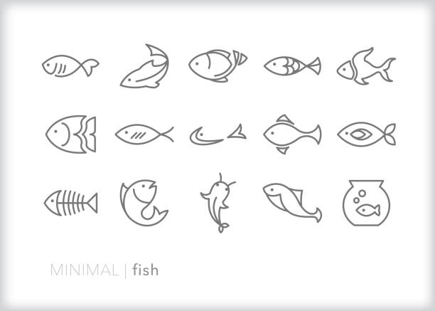 Fish line icons Set of 15 fish line icons of various types of ocean and fresh water fish including tropical, minnow, catfish, bass, abstract fish, pet fish, fish skeleton fish stock illustrations