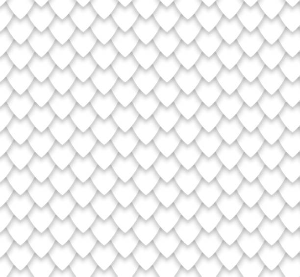 Fish, mermaid, dragon, snake scales. Black and white geometric pattern. Black and white minimal background. Abstract 3d origami paper. Background for your design. Vector illustration. animal scale stock illustrations