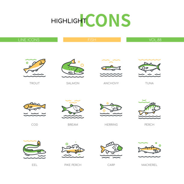 Fish - modern line design style icons set Fish - modern line design style icons set on white background. A collection of animals. Trout, salmon, anchovy, tuna, cod, bream, herring, eel, pike perch, carp, mackerel species images white perch fish stock illustrations