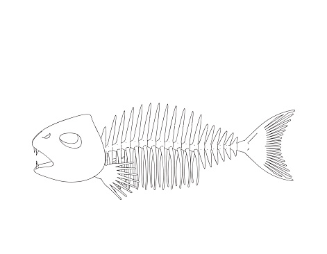 Fish skeleton. Isolated on white background. Vector outline illustration.
