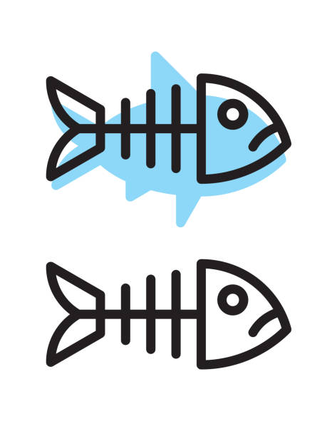 Fish skeleton line icon Fish skeleton and silhouette. Files included: Vector EPS 10, HD JPEG 3000 x 4000 px animal bone stock illustrations