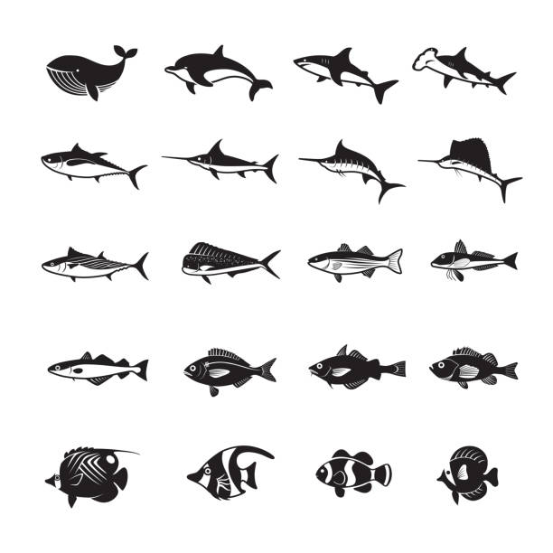 illustrazioni stock, clip art, cartoni animati e icone di tendenza di icone delle specie ittiche - tonnetto