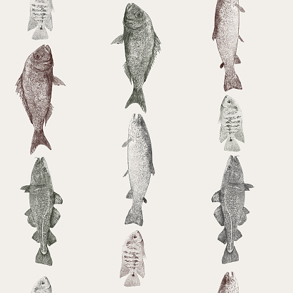 Fish Stripe Repeat Pattern