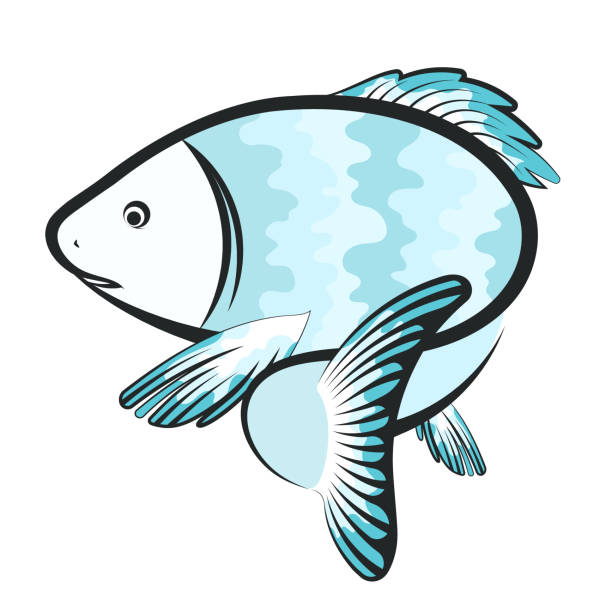 Fish Gills Svg - 1020+ Popular SVG Design - Free SVG Cut File for