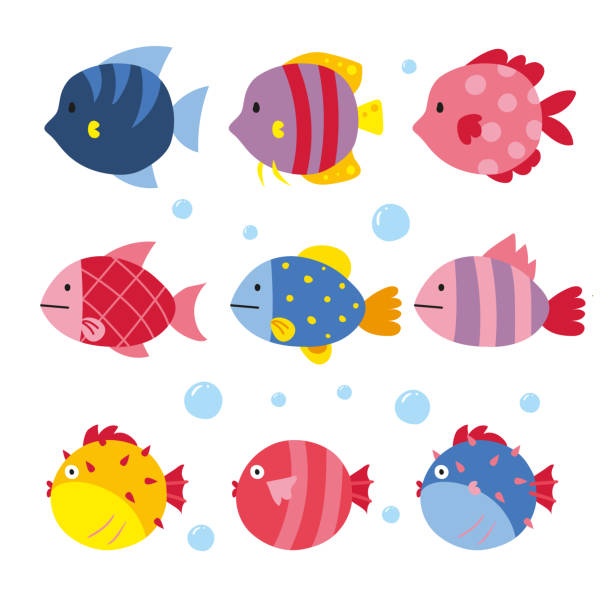 fish vector collection design fish vector collection design stylized underwater nature set of icons stock illustrations