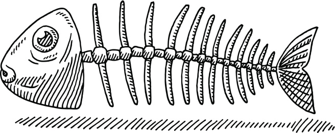 Fishbone Drawing