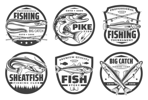 illustrazioni stock, clip art, cartoni animati e icone di tendenza di pescatore hobby sport, pesca placcaggi e pesce - finlandia laghi