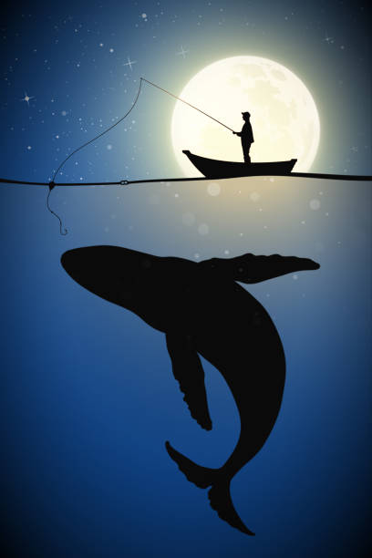 Fisherman in boat on moonlight night Man silhouette with fishing rod and big whale under water. Full moon in starry sky sea silhouettes stock illustrations