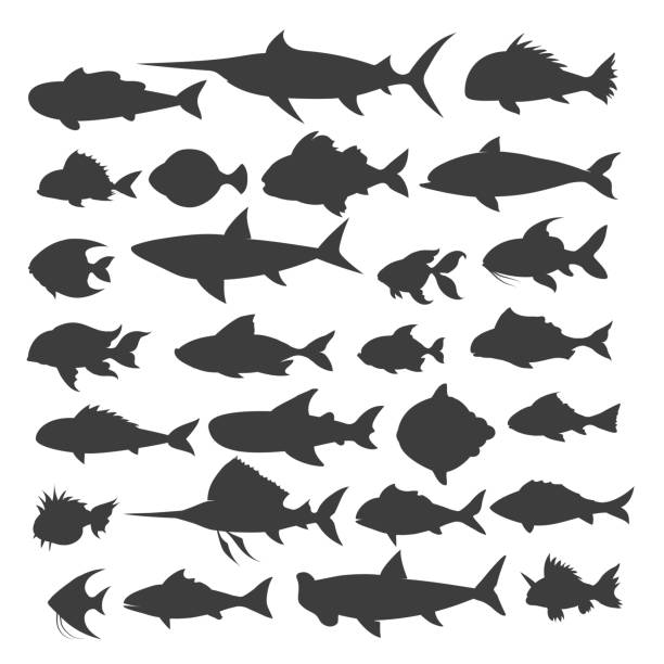 Fishes silhouettes set Fishes silhouettes. Fish of different shapes isolated on white background, vector illustration stylized underwater nature set of icons stock illustrations