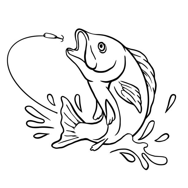 Download Bass Fish Outline Drawing Illustrations, Royalty-Free Vector Graphics & Clip Art - iStock