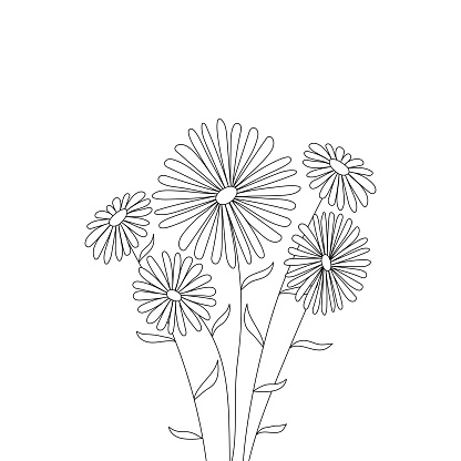 five daisies drawn with a line on a white background.