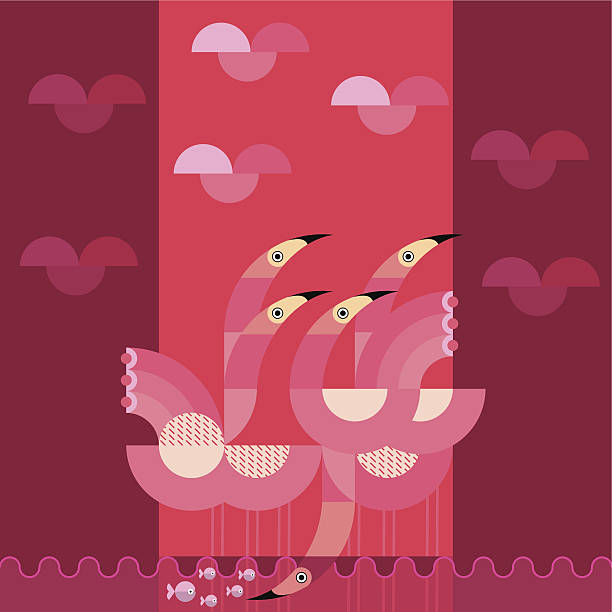 ilustraciones, imágenes clip art, dibujos animados e iconos de stock de cinco flamencos en un estanque con peces - tintanegra00