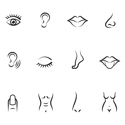 Five human senses icons