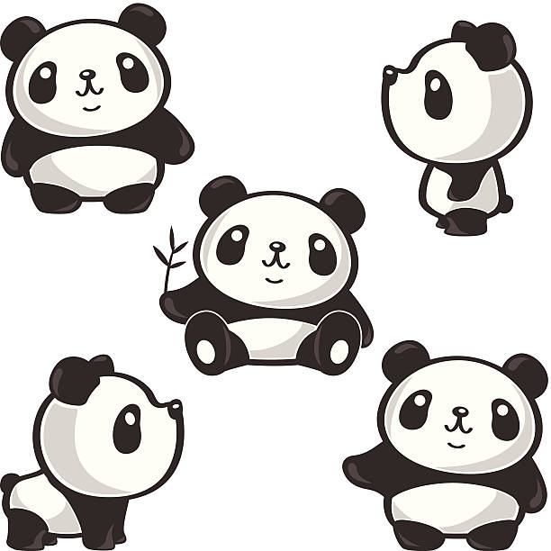illustrations, cliparts, dessins animés et icônes de cinq poses de panda - panda