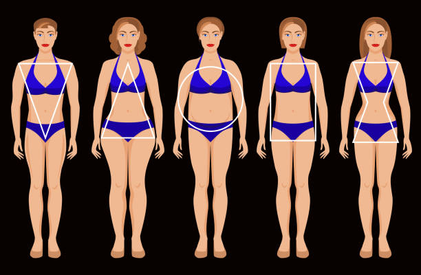 five types of female figures types of female figures. vector illustration - eps 8 cartoon of fat lady in swimsuit stock illustrations