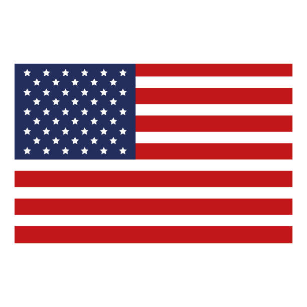 USA flag isolated icon USA flag isolated icon vector illustration design pattern clipart stock illustrations