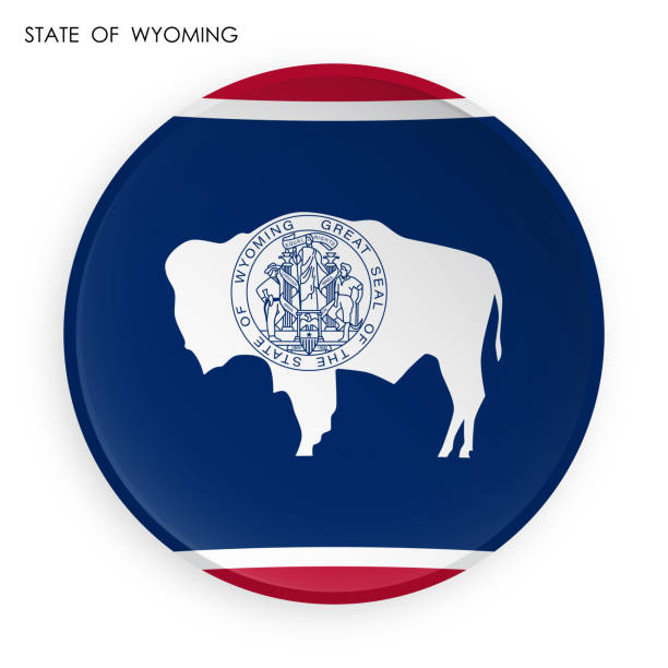 modern neomorfizm tarzında amerikan wyoming eyaleti simgesi bayrağı. mobil uygulama veya web için düğme. beyaz arka plan üzerinde vektör - buffalo stock illustrations