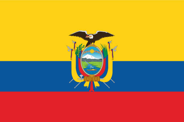 Flag of Ecuador Flag of Ecuador. Vector illustration. World flag ecuador stock illustrations