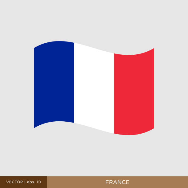 illustrations, cliparts, dessins animés et icônes de drapeau de france vector stock illustration design template. - drapeau français