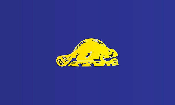 Flag of Oregon - reverse Flag of Oregon - reverse oregon us state stock illustrations