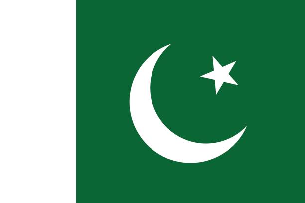 Flag of Pakistan Flag of Pakistan pakistani flag stock illustrations