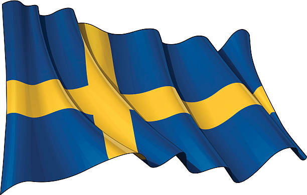 bildbanksillustrationer, clip art samt tecknat material och ikoner med flag of sweden - svenska pengar