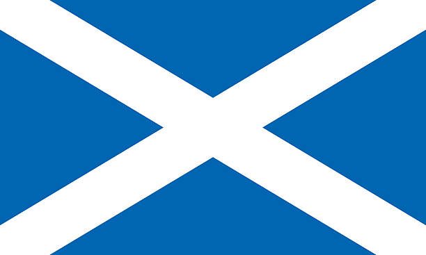 stockillustraties, clipart, cartoons en iconen met flag scotland - schotland