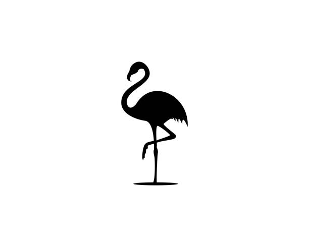 stockillustraties, clipart, cartoons en iconen met flamingo zwarte logo vector - flamingo