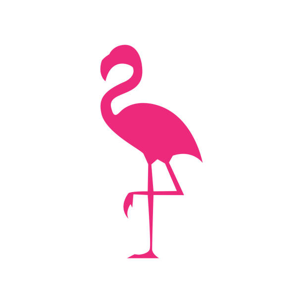 stockillustraties, clipart, cartoons en iconen met flamingo icon - vectorillustratie - flamingo