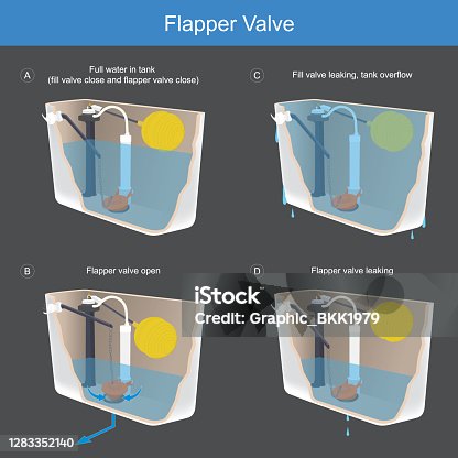 istock Flapper Valve. Illustration explain the method working a flapper valve which is composition important of toilet bow."n 1283352140
