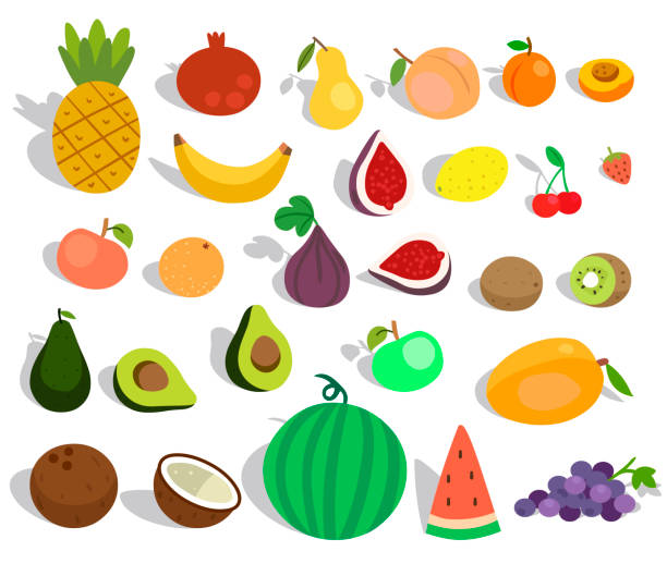 Flat design icons fresh fruit with shadow Fruit icons set flat design line art isolated. Vector Image watermelon juice stock illustrations