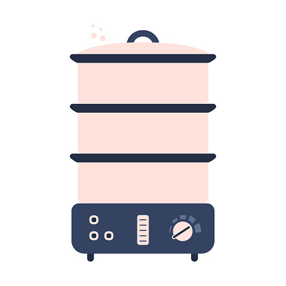 Flat electric food steamer icon, kitchen appliance