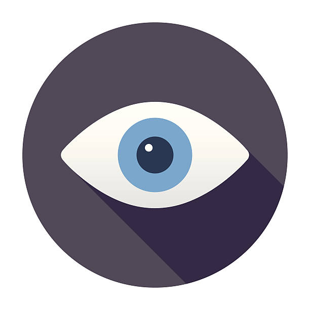 Flat Eye Icon Flat & Long Shadow Eye Icon eye icons stock illustrations