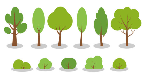 Flat green summer tree bush forest icon vector set Set of flat green spring cartoon trees bushes icons. Simple different shape eco organic plant sign. Summer season forest, park, garden oak, birch, fir, symbol. Isolated on white vector illustration tree area stock illustrations