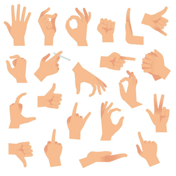 illustrazioni stock, clip art, cartoni animati e icone di tendenza di gesti a mano piatta. gesto del dito umano puntato, segnale a mano aperta. armare l'attenzione alla comunicazione segni raccolta vettoriale - pizzicotti