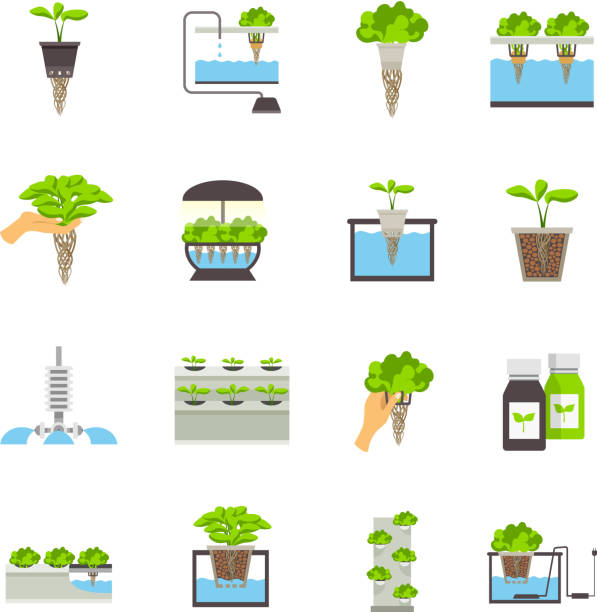 flat icon  hydroponic Set of color flat icons depicting elements of hydroponic system vector illustration hydroponics stock illustrations