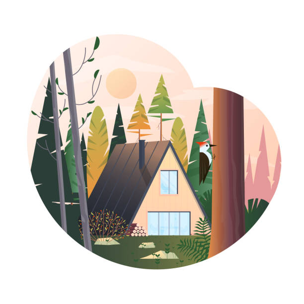 Flat Modern design Illustration of Cabin Modern cabin at highland on national park. Summer adventure scene with wooden cabin in woods. Lonely house in forest landscape in flat design. Vector Illustraton alpine climate stock illustrations