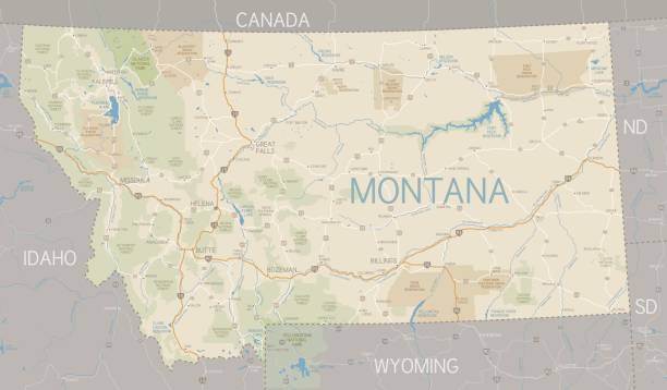 A flat Montana state map and surroundings A detailed map of Montana state with major rivers, lakes, roads and cities plus National Parks, national forests and indian reservations.  montana western usa stock illustrations