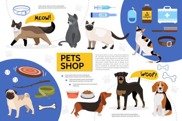 bildbanksillustrationer, clip art samt tecknat material och ikoner med platt djuraffär infographic mall - cat leash