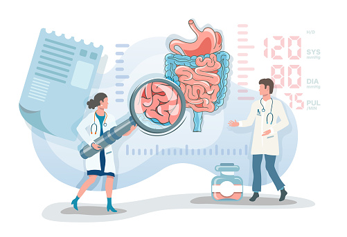 Flat vector illustration two doctor observing stomach and digestive system